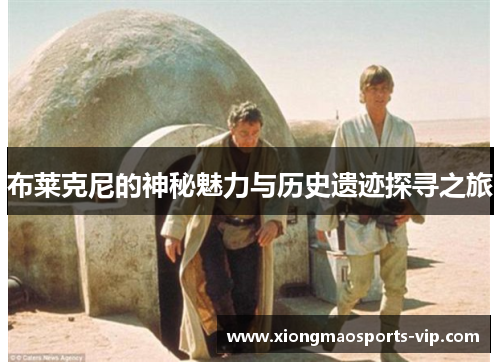 布莱克尼的神秘魅力与历史遗迹探寻之旅