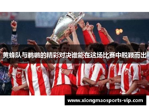 黄蜂队与鹈鹕的精彩对决谁能在这场比赛中脱颖而出